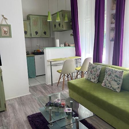 Center Cosy Vintage Apartment Novi Sad Dış mekan fotoğraf