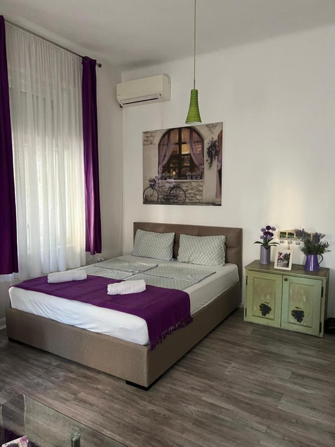Center Cosy Vintage Apartment Novi Sad Dış mekan fotoğraf
