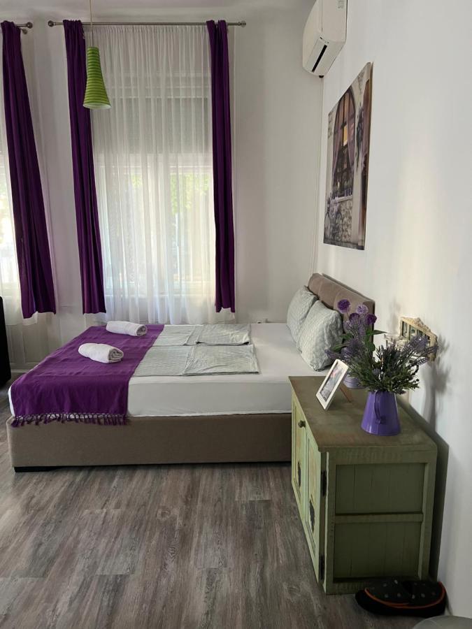 Center Cosy Vintage Apartment Novi Sad Dış mekan fotoğraf