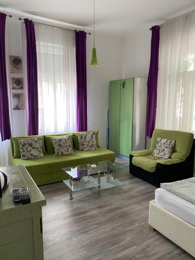 Center Cosy Vintage Apartment Novi Sad Dış mekan fotoğraf