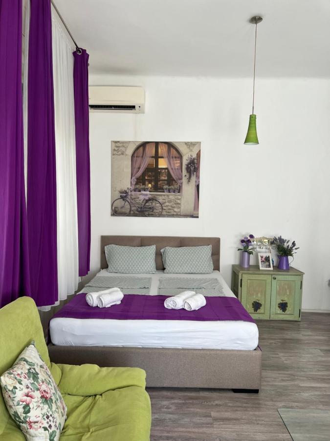 Center Cosy Vintage Apartment Novi Sad Dış mekan fotoğraf