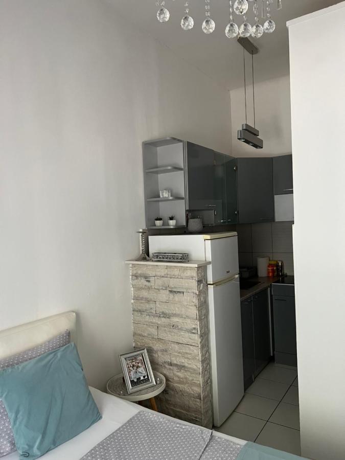 Center Cosy Vintage Apartment Novi Sad Dış mekan fotoğraf